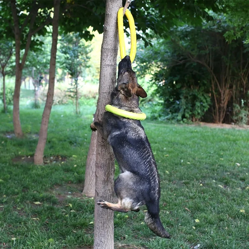 Dog Toys Pet Flying Discs EVA  - огляд і ціна Indestructible Dog Chew Toy